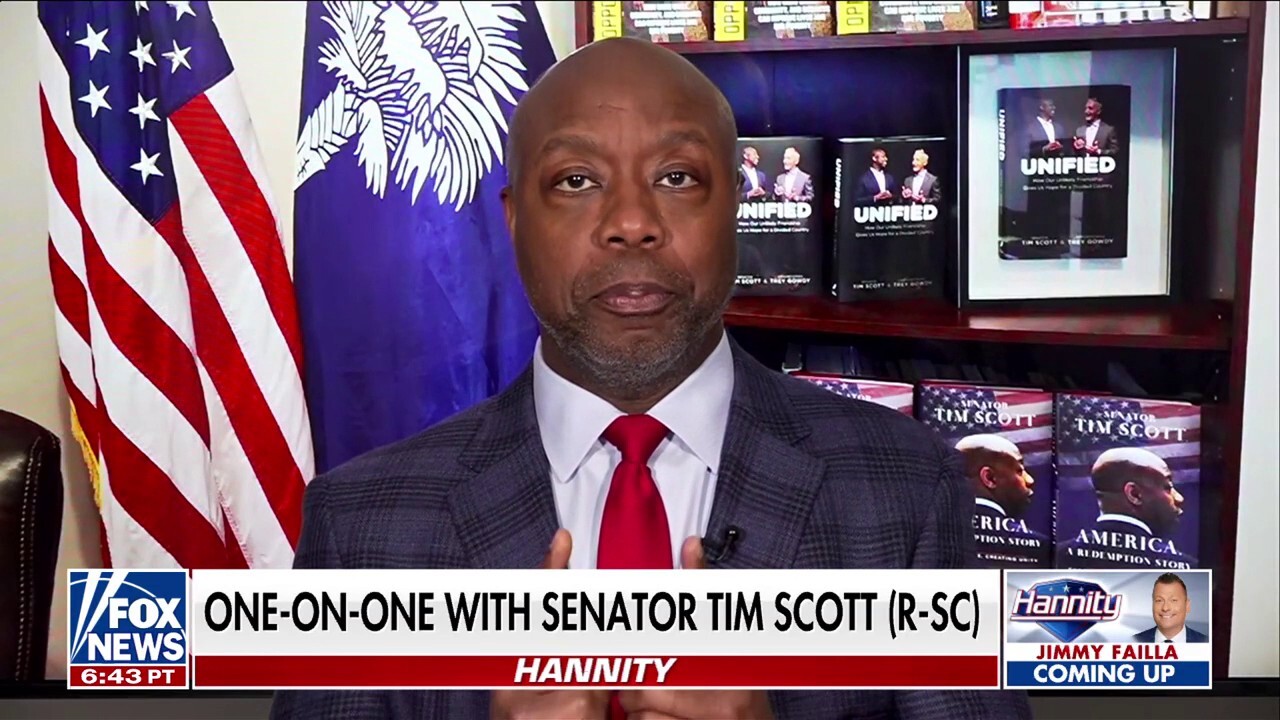 Sen. Tim Scott, R-S.C., shares his thoughts about being elected by the Republican Conference to lead the National Republican Senatorial Committee in the 2026 cycle.