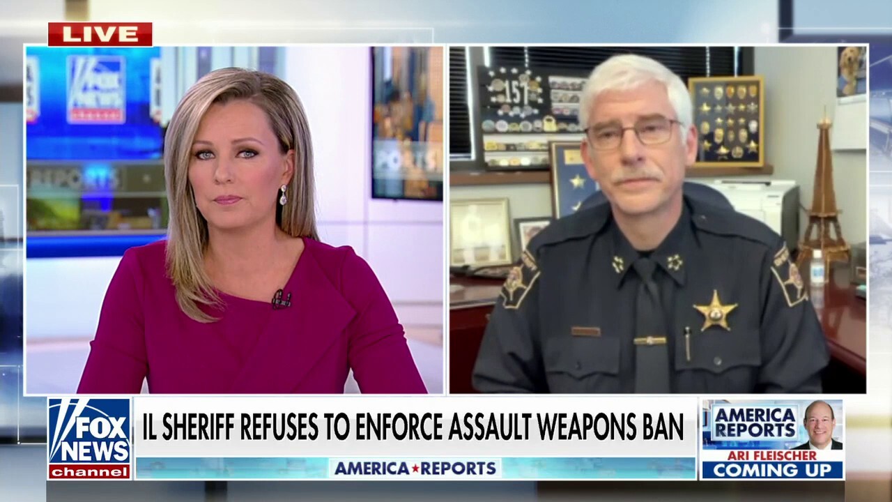 Illinois lawmakers batter sheriff for refusing to enforce state's ban on assault weapons