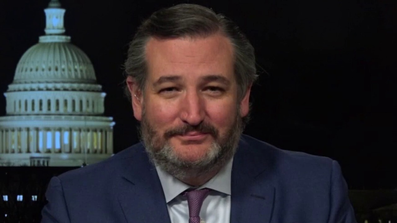 Cruz: Second Trump’s impeachment was ‘exercise of political fury’ by Democrats: ‘It was your id speaking’