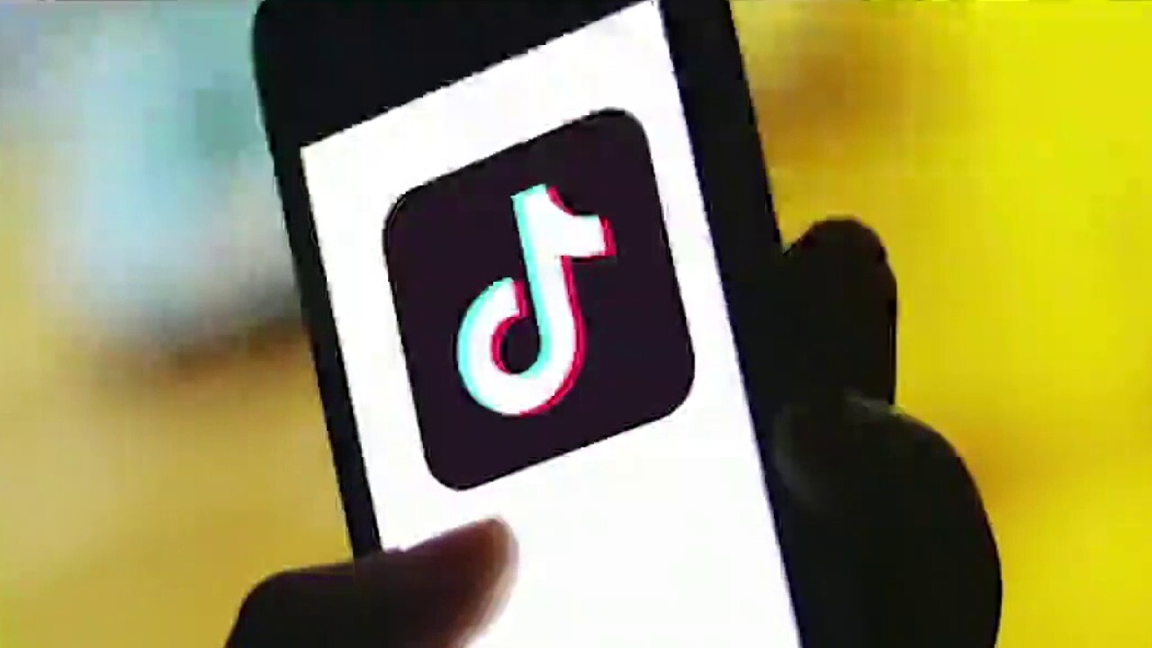 Should Americans be concerned over China-owned TikTok?