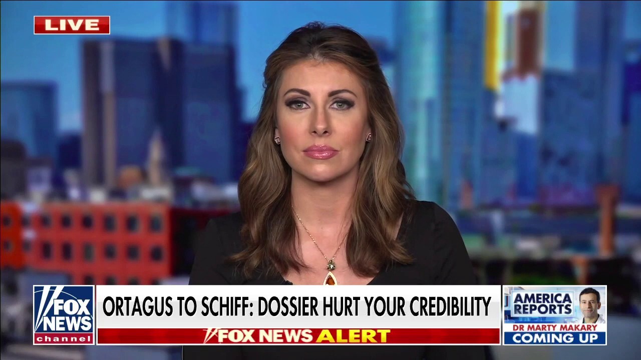 Morgan Ortagus talks 'The View' confrontation with Adam Schiff over Steele dossier