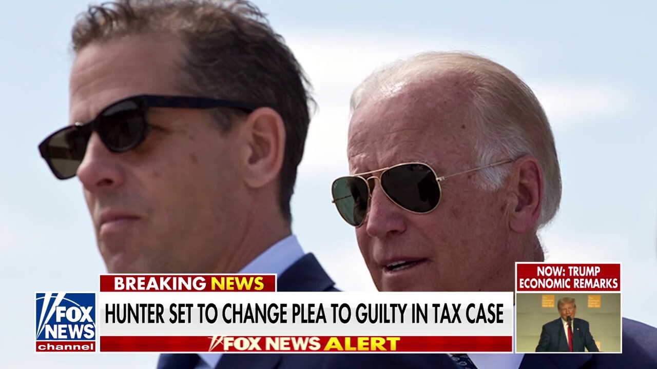 Turley says Hunter Biden likely to face jail time in tax case