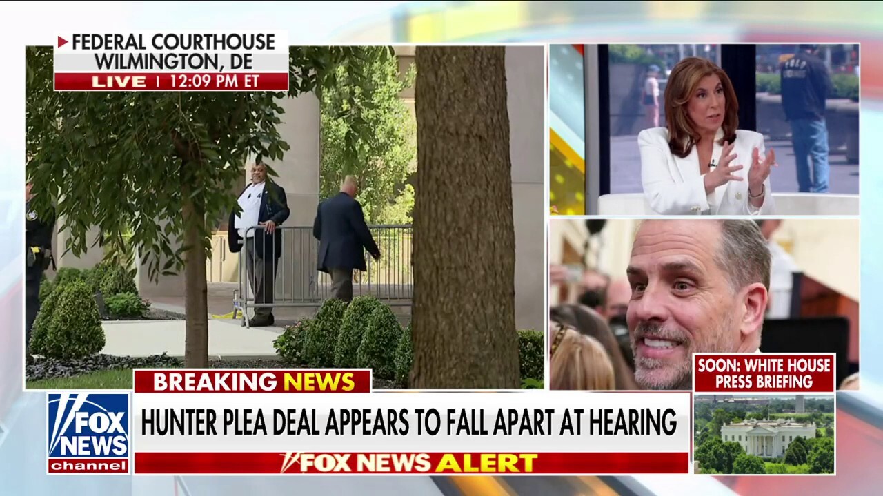 Tammy Bruce highlights 'two-tiered system of justice' over Hunter Biden treatment