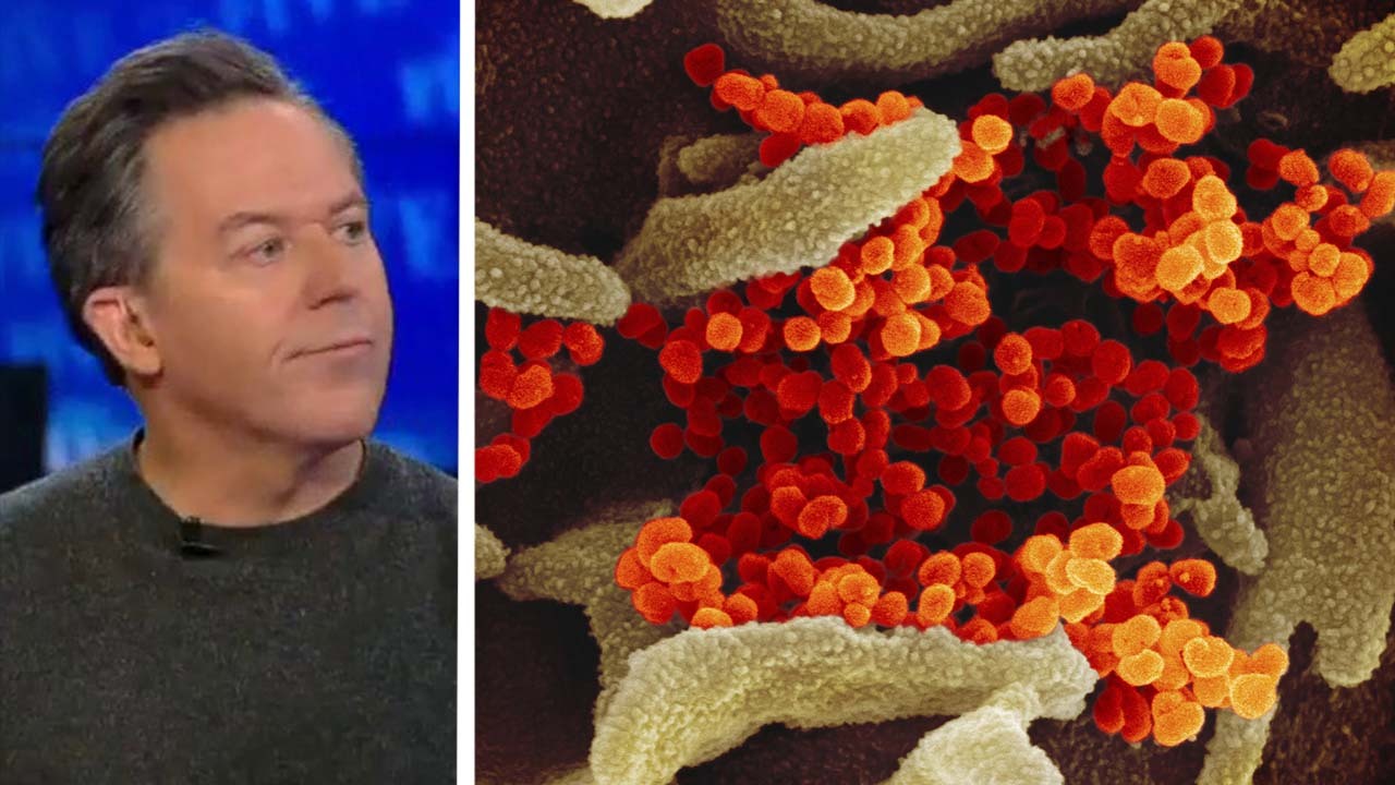 FOX NEWS: Gutfeld on the media reaction to the coronavirus