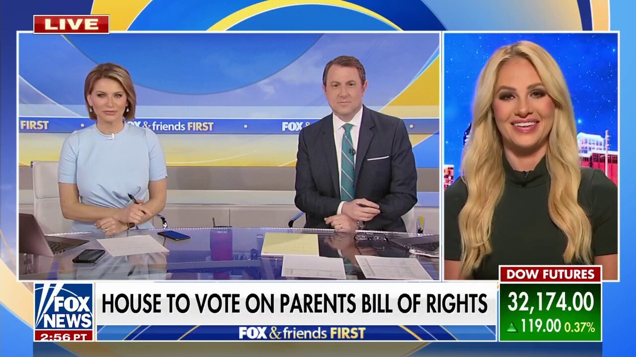 Tomi Lahren: House Republicans are putting Democrats on defense