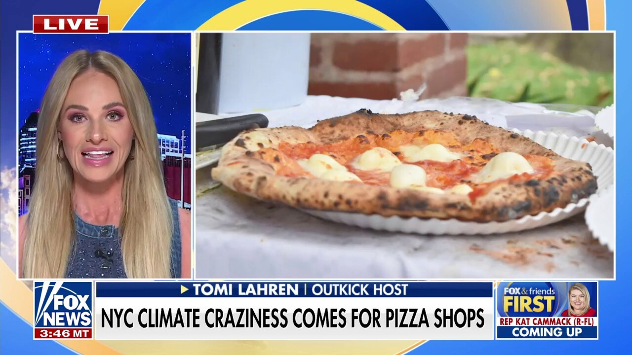 Tomi Lahren reacts to climate regulations impacting pizzerias in NYC: 'Infuriating'