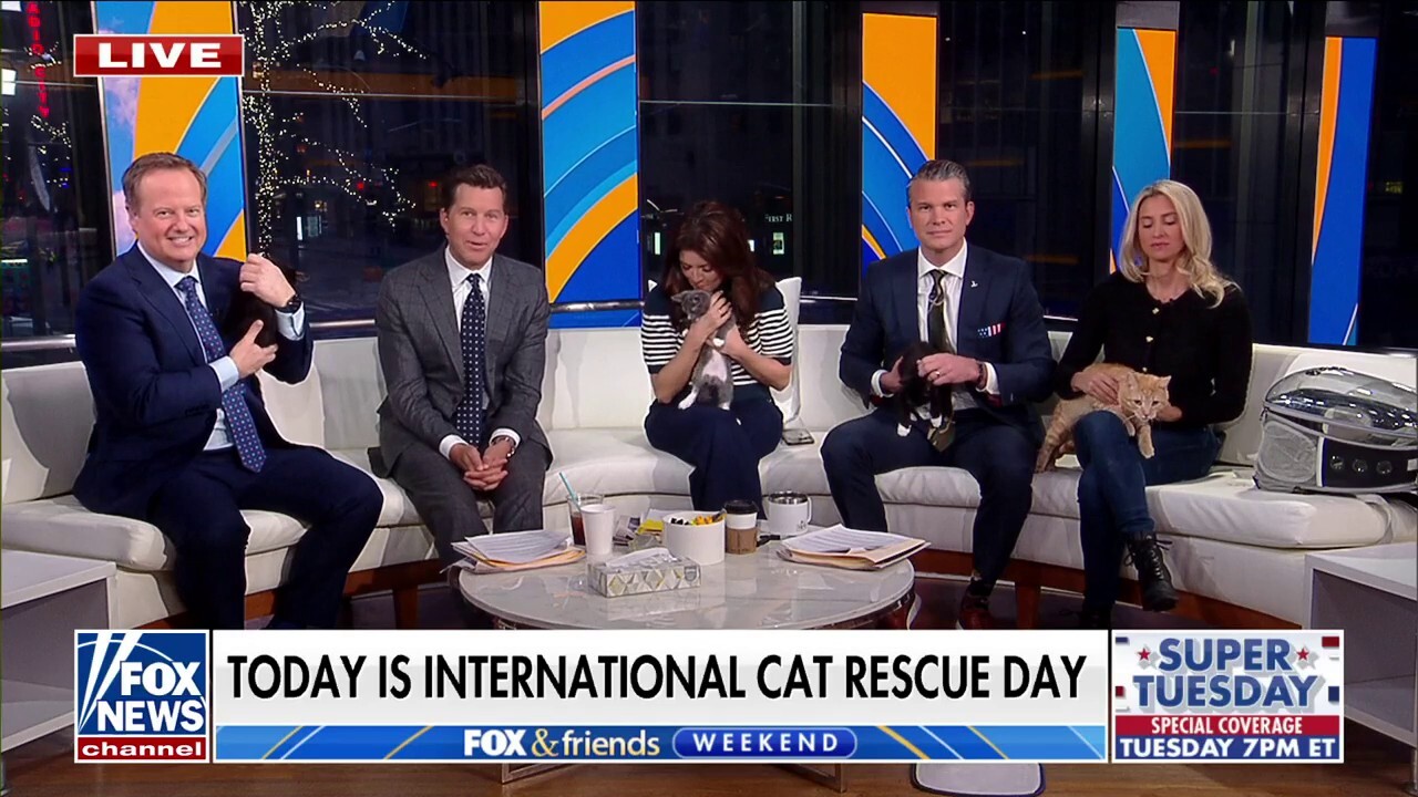 'Fox & Friends Weekend' celebrate International Cat Rescue Day with feline friends