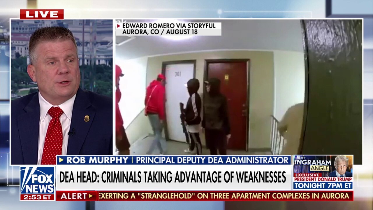 DEA administrator: We're getting Tren de Aragua out before they cause more harm