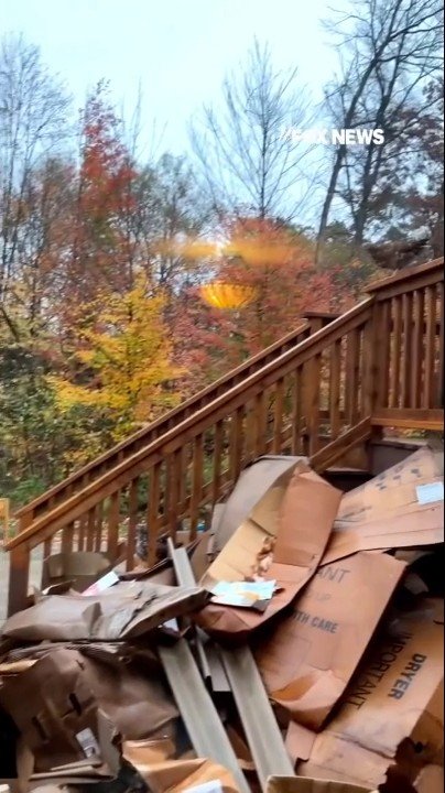 Adventurous chickens turn wet porch railing into slide