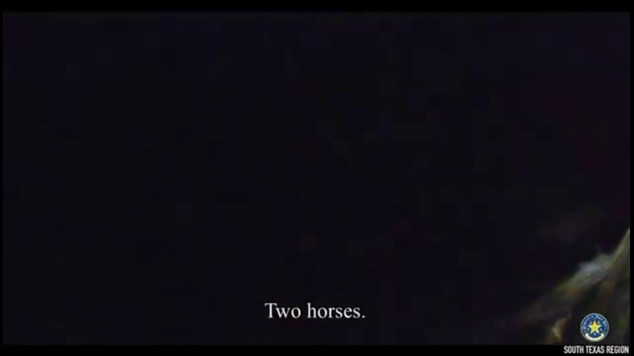 Властите в Тексас откриват 27 нелегални имигранти в ремарке за коне по време на спиране на трафика