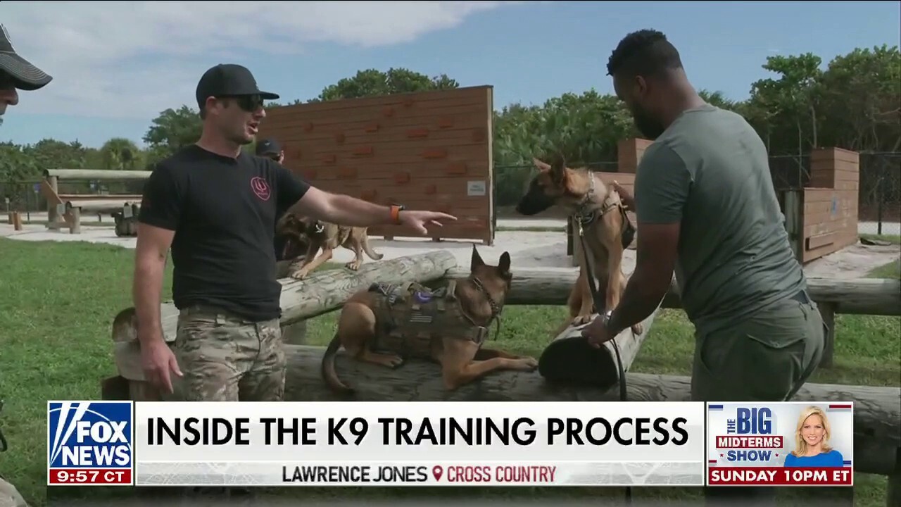 Lawrence Jones showcases his personal connection with dogs serving US veterans