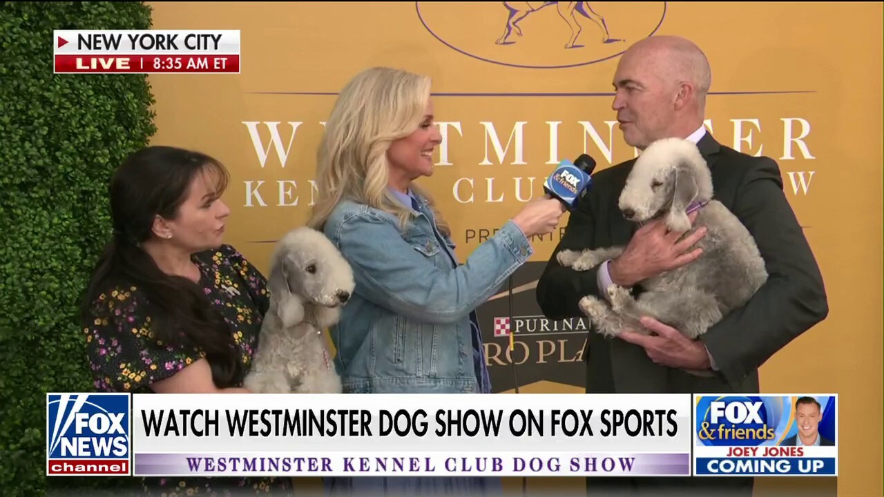Mother of Janice Dean's dog competing at Westminster Dog Show