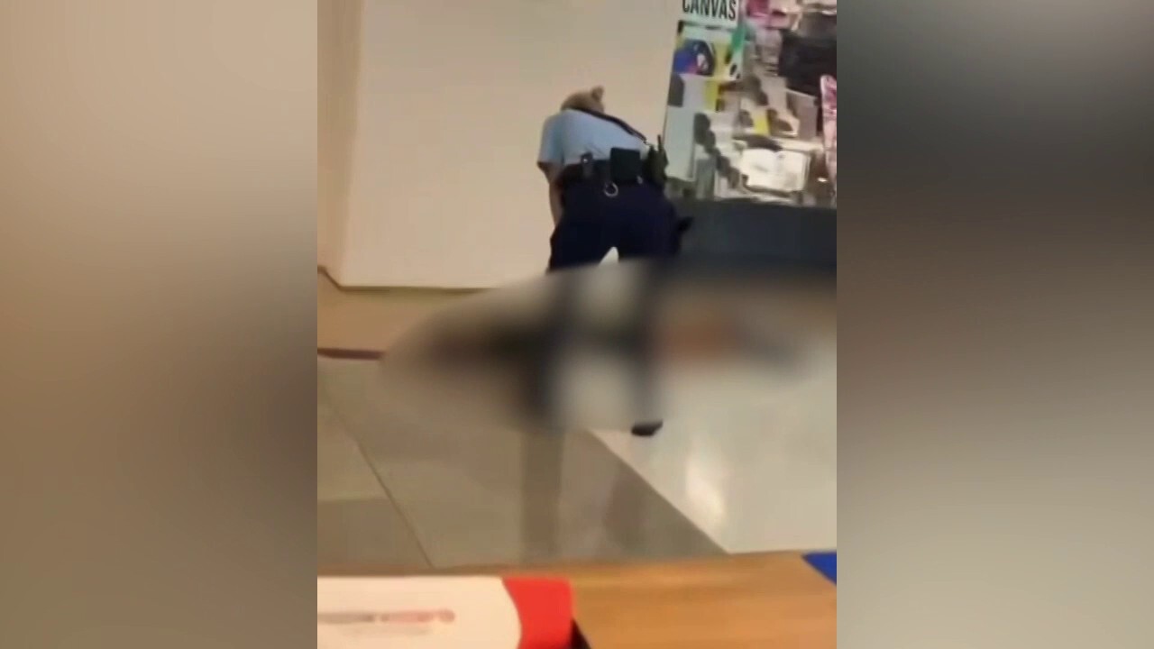 GRAPHIC WARNING: Six dead, eight injured after knife-wielding man goes on rampage in Sydney mall