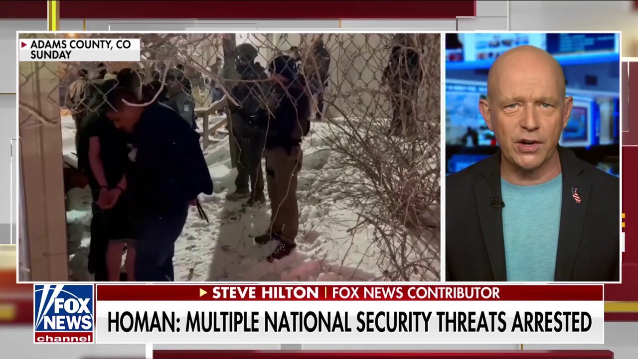 Tom Homan is executing crackdown on illegal immigration to 'perfection,' Steve Hilton says