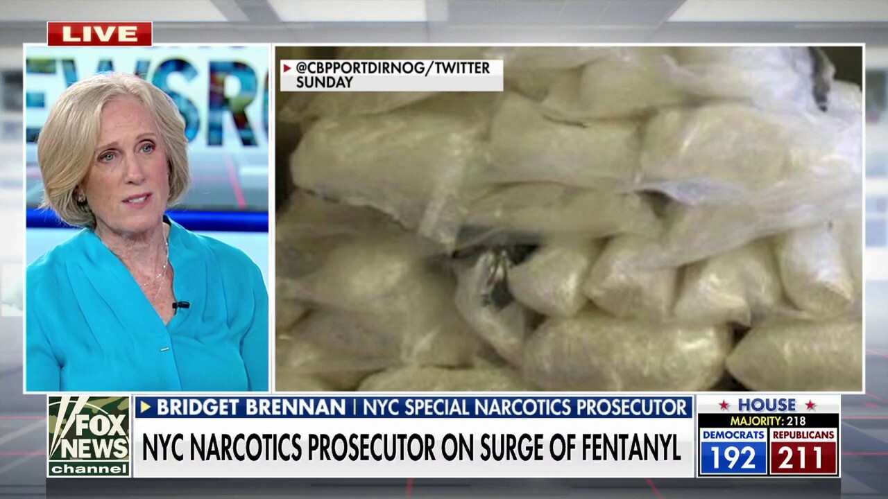 NYC Man Arrested in 'Historic' Fentanyl Bust on Long Island – NBC