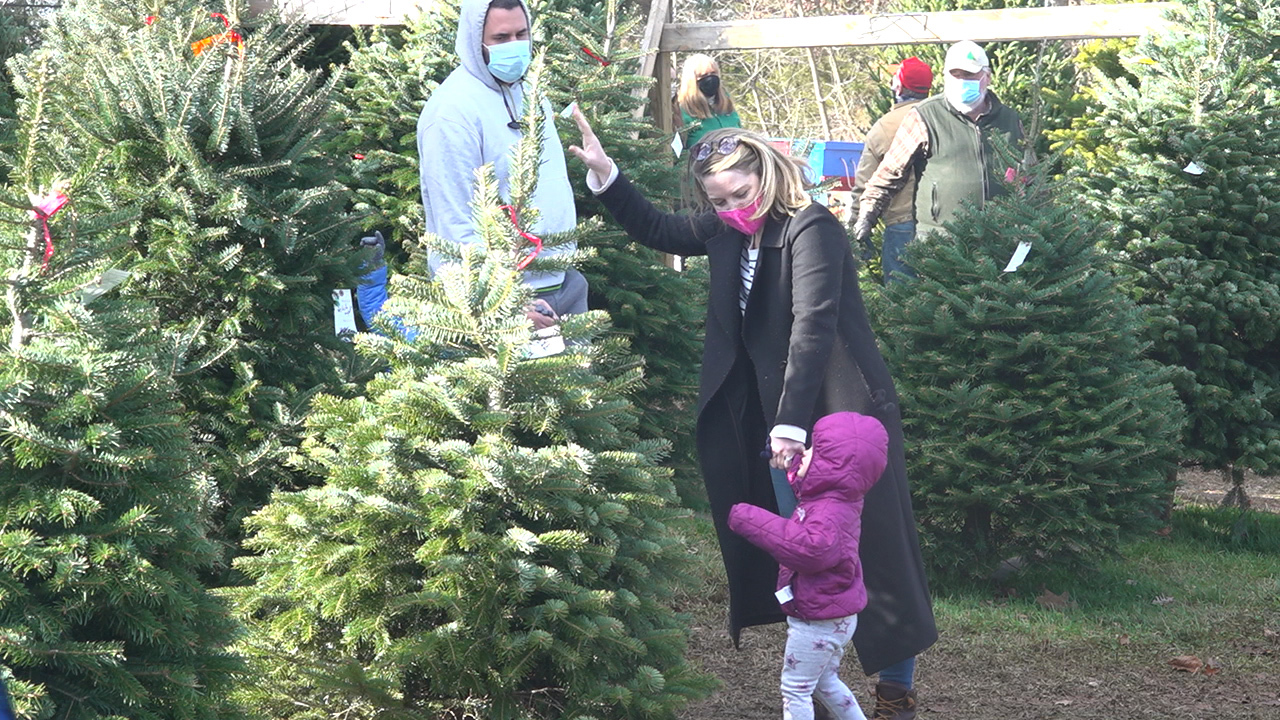 Pandemic boosts business for Christmas tree farms