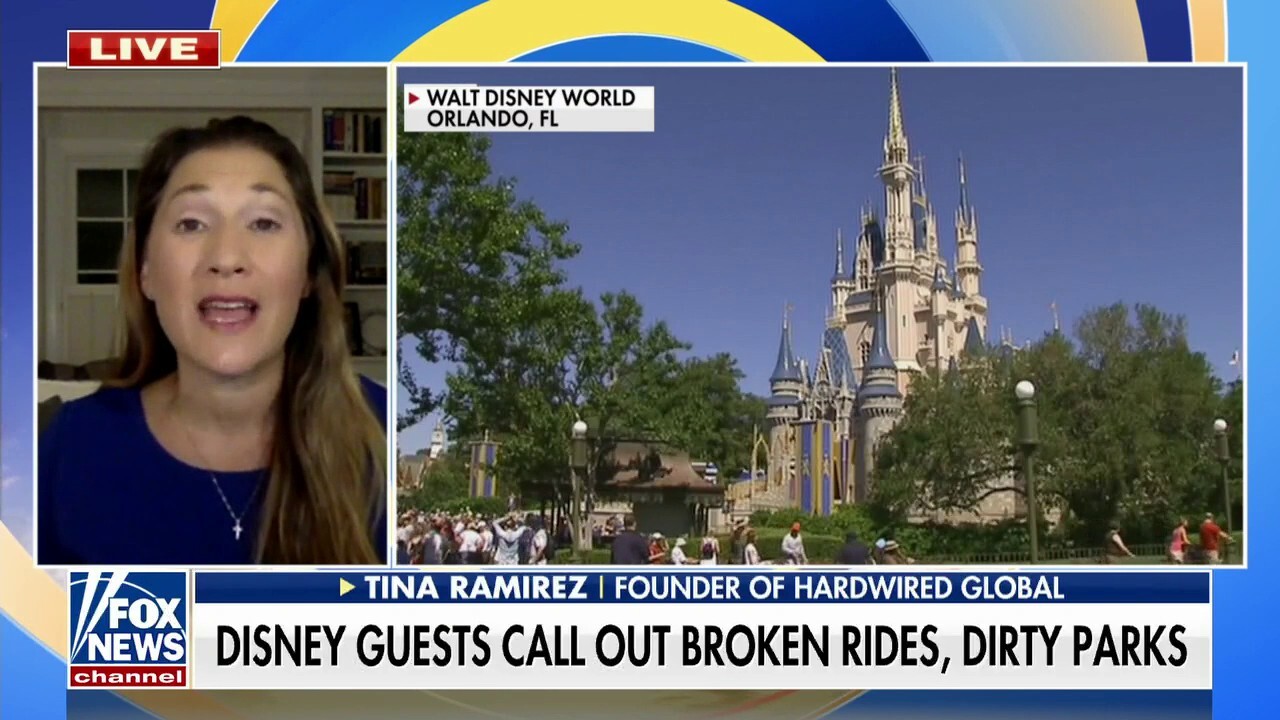 Disney 'alienated' families with dirty parks, broken rides, 'political agenda': Senate candidate