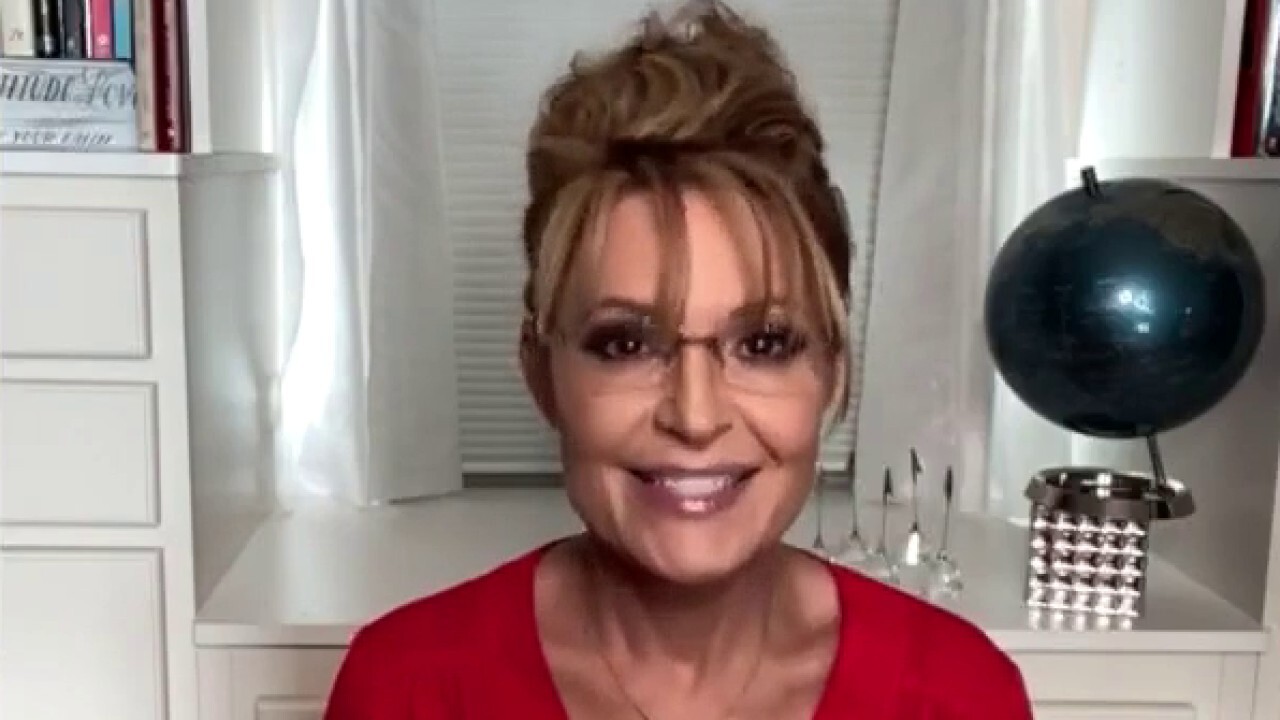 Sarah Palin says media treat Democratic candidates with kid gloves, describes her experience as VP nominee	