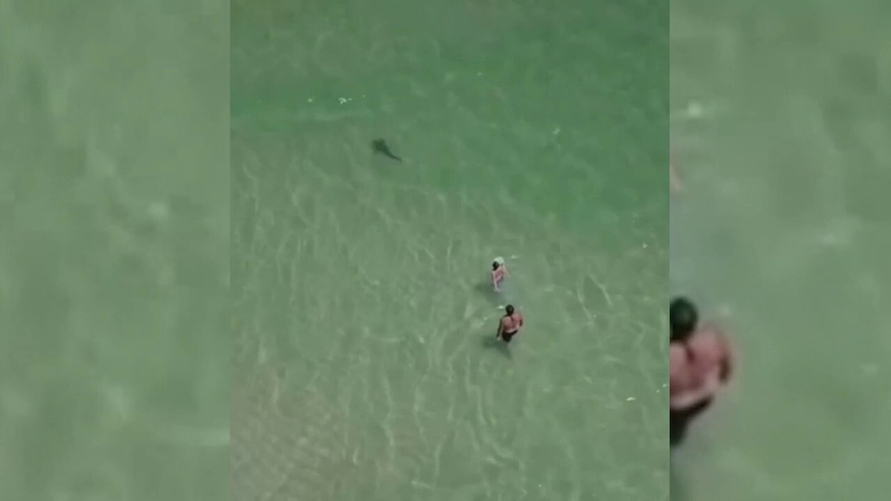 Drone footage shows shark circling man and small child at Alabama beach ...