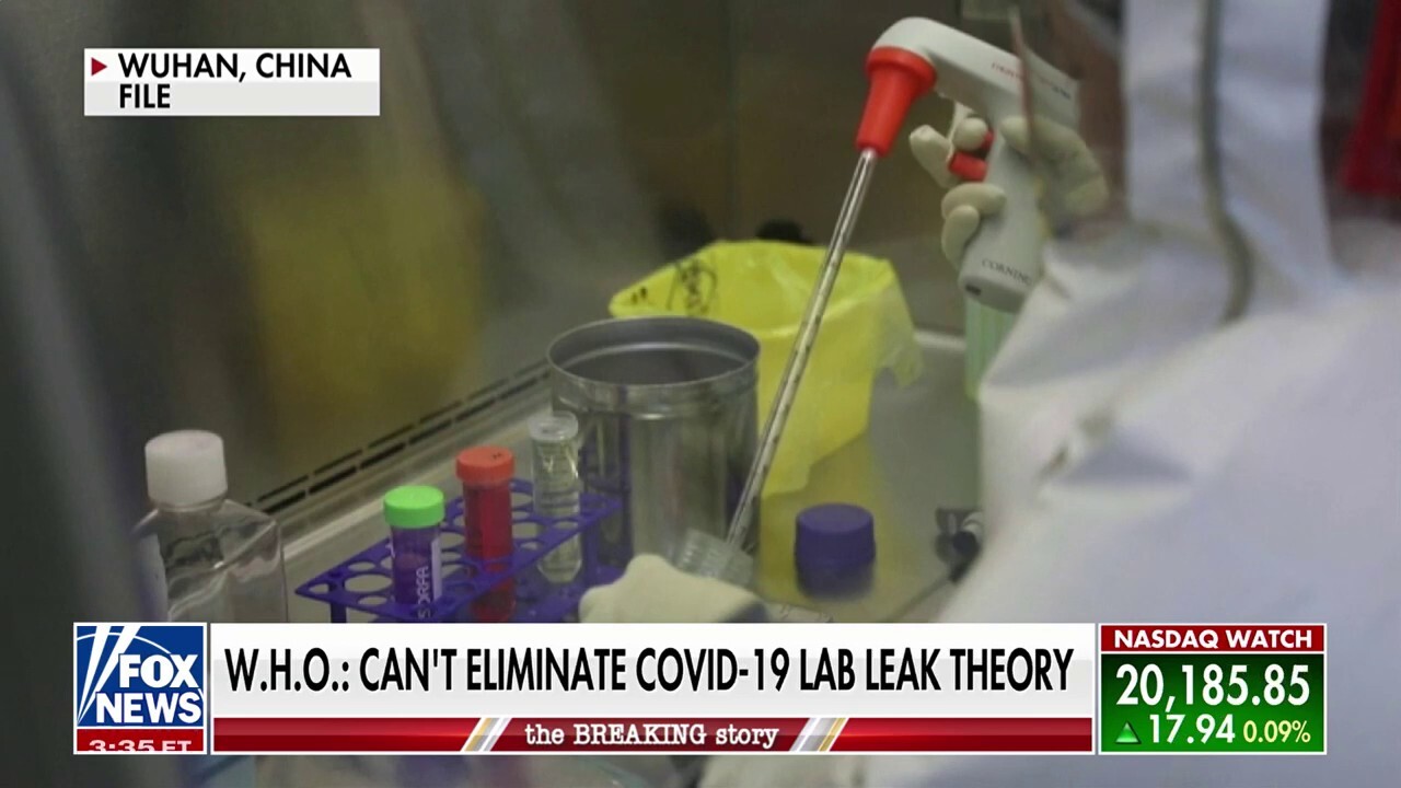 LAB LEAK?: Origins of COVID-19 released in World Health Organization report
