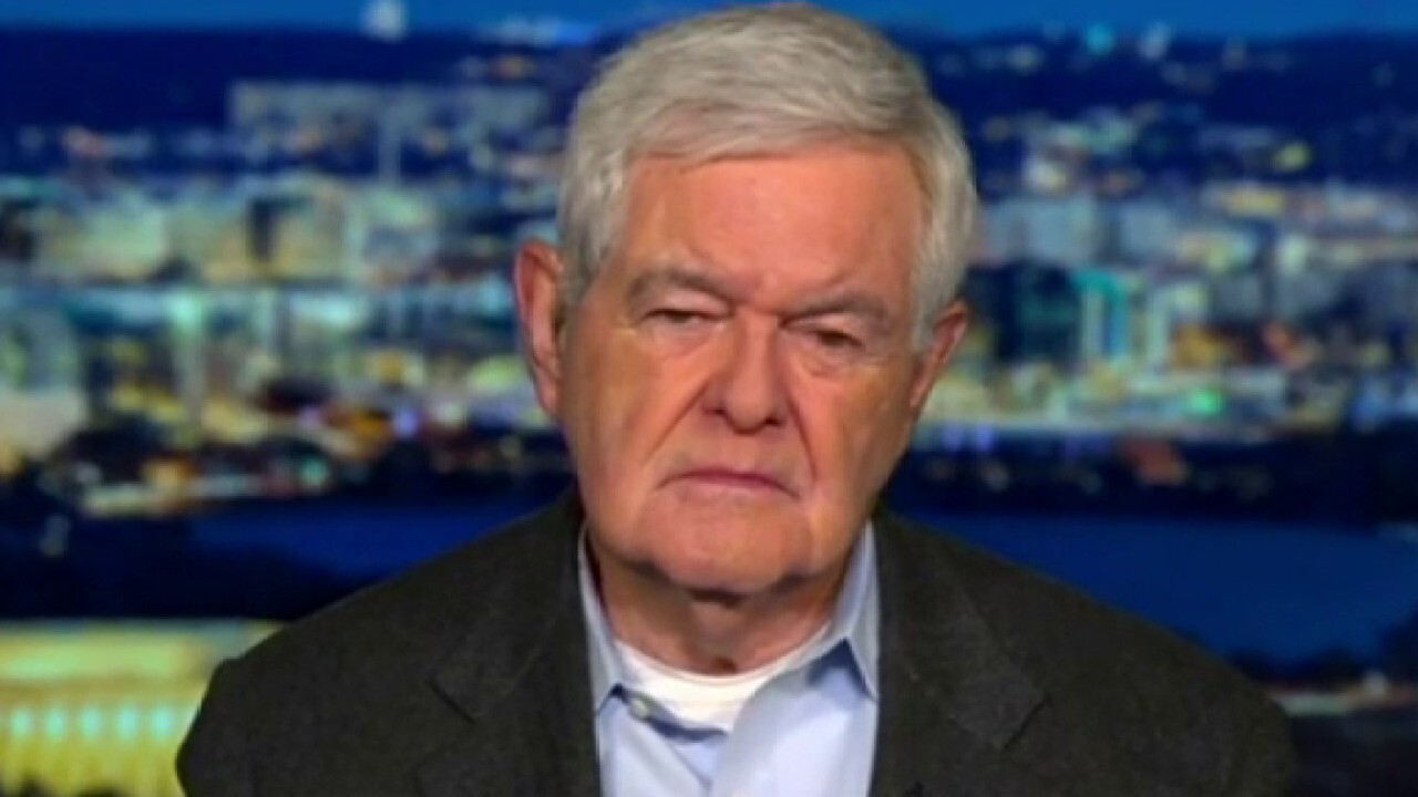 Newt Gingrich: This is not a war against Trump, it is a war against Americans