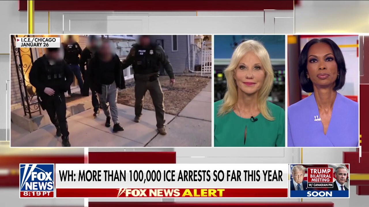 Kellyanne Conway calls out 'epidemic' of Democrats 'looking the other way' on immigration