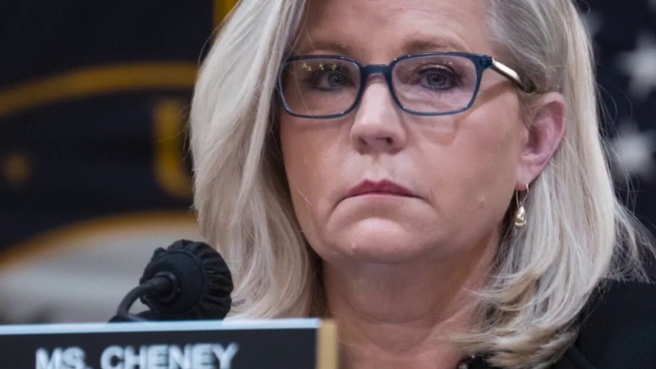 Wyoming 'doesn't support' Liz Cheney: Harriet Hageman