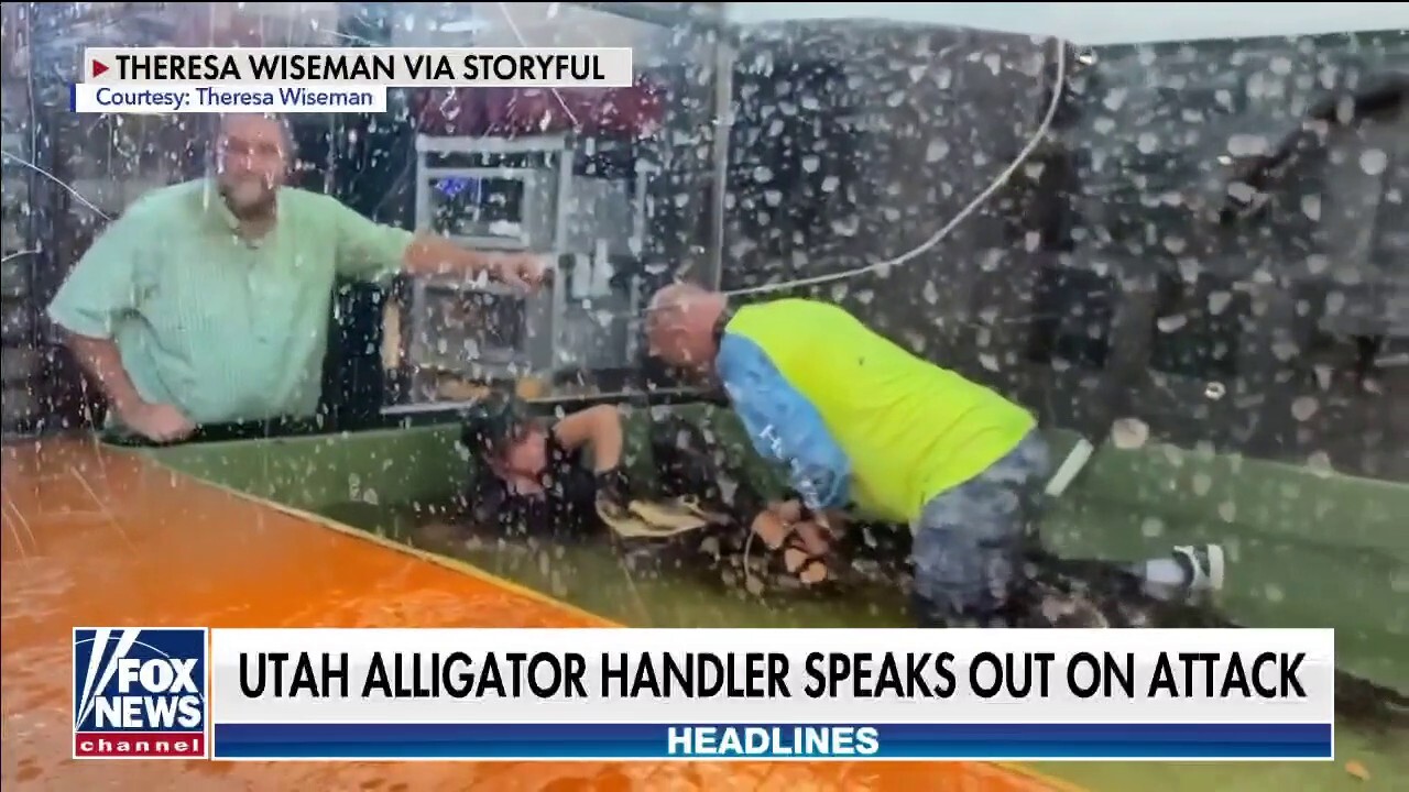 Utah alligator handler attacked by reptile on video