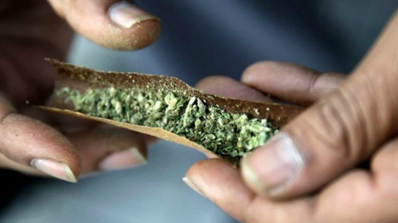 Federal report shows downsides of legalizing marijuana