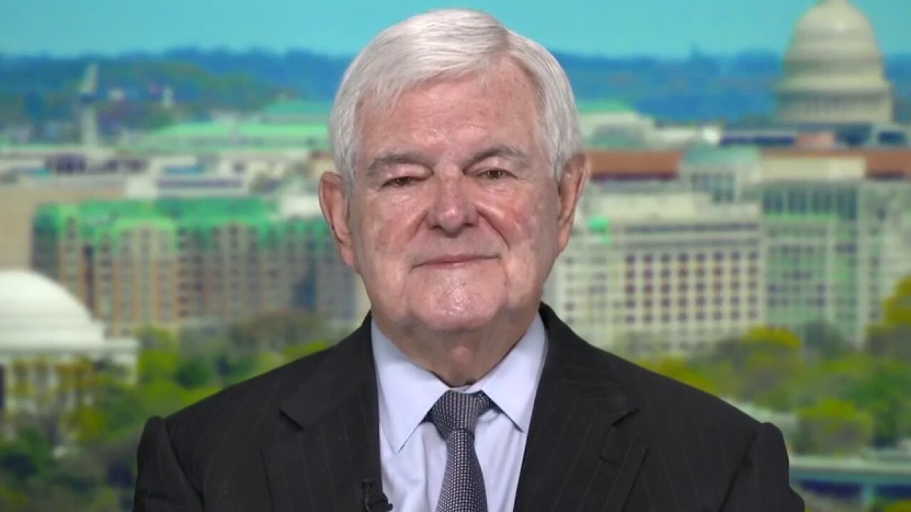 Gingrich: Biden 'can't deliver' on new spending plans 