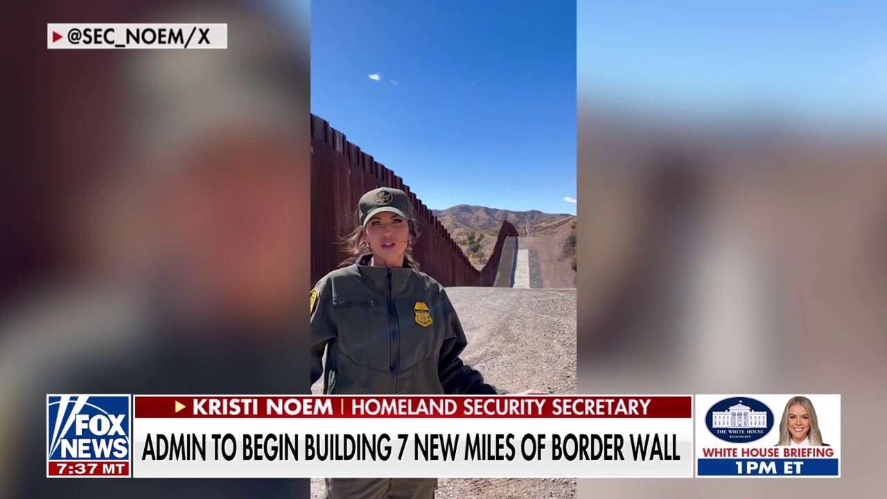 Border Patrol union praises Trump resuming border wall construction: 'Amazing' what his policies have done