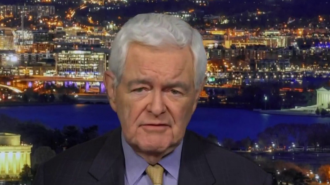 Newt Gingrich: We're dealing with a cognitively challenged president and cognitively hopeless VP