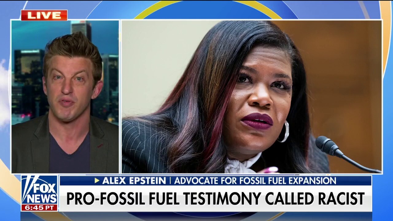 Fossil fuel advocate speaks out after being labeled 'White supremacist' by House Democrat