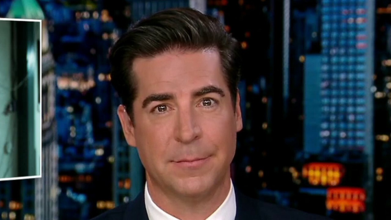  Jesse Watters: We are looking at a historic massive red wave coming