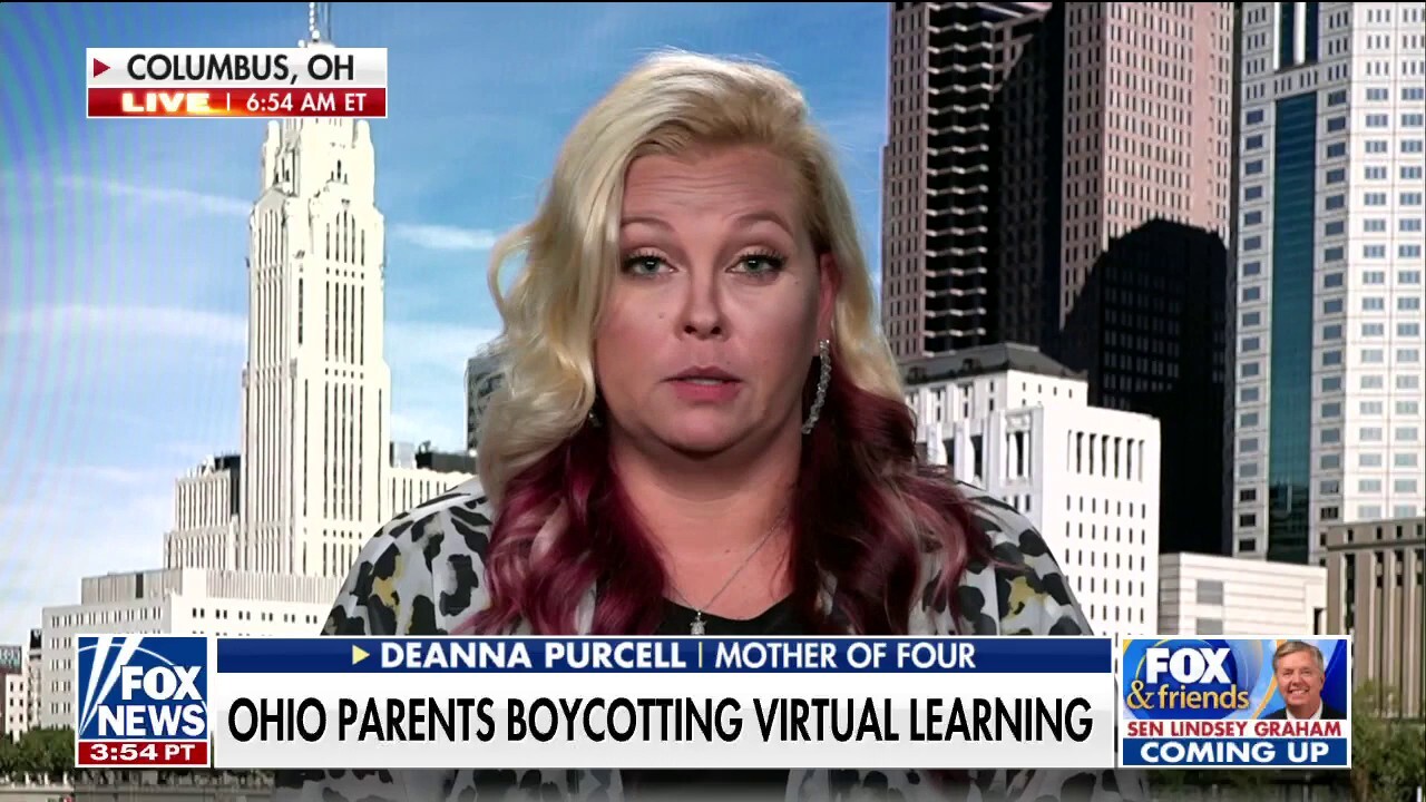 Ohio students begin virtual learning after teachers strike: Whole school day is 'independent study'