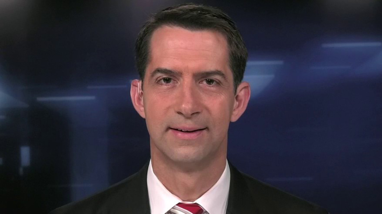 Sen. Cotton hopes Democrats 'will come to their senses' on additional small business funding