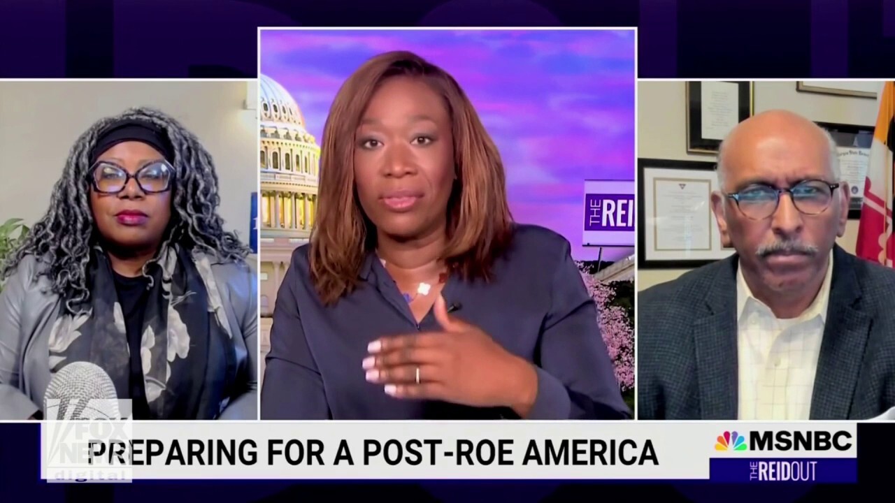 MSNBC guest says Justice Alito would like 'to sell babies' if he could