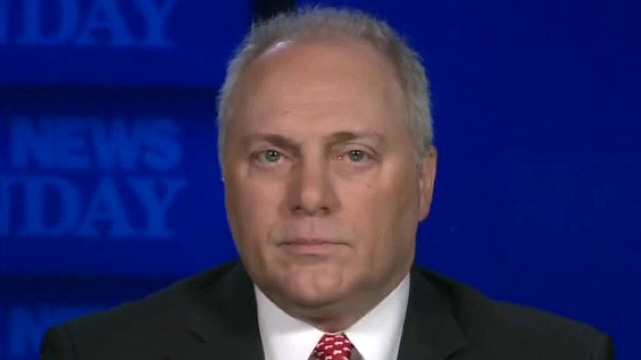 Rep. Steve Scalise: Need to allow system for election legal process to ‘play out’ 