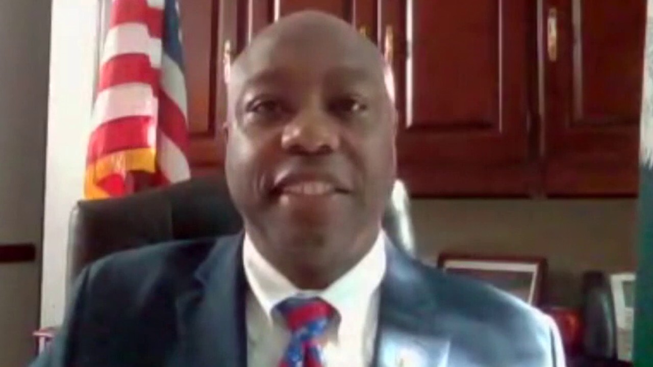 Sen. Tim Scott: US can't tear down history for the sake of anarchy