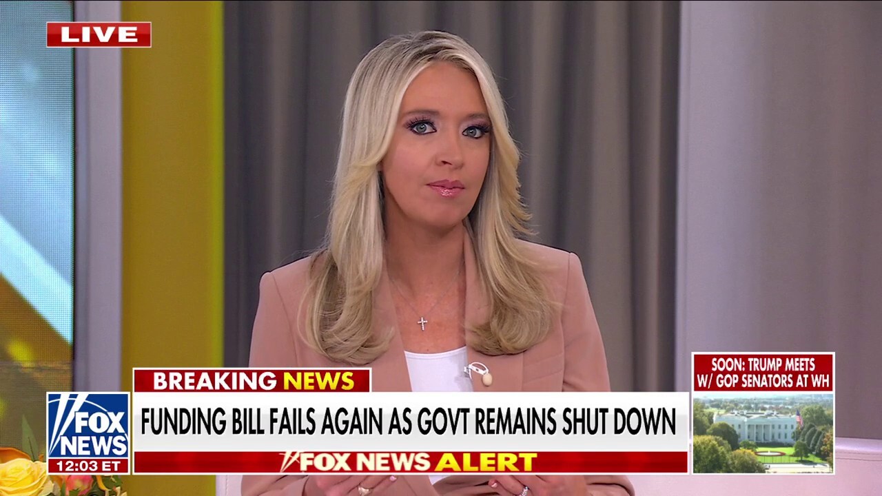 McEnany: Democrats are ‘petrified’ of their left-wing flank