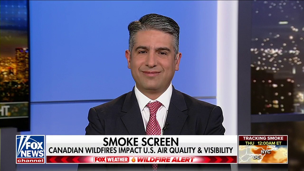 Dr. Houman Hemmati shares his expertise on the health implications from the Canadian wildfires on ‘Fox News @ Night.'
