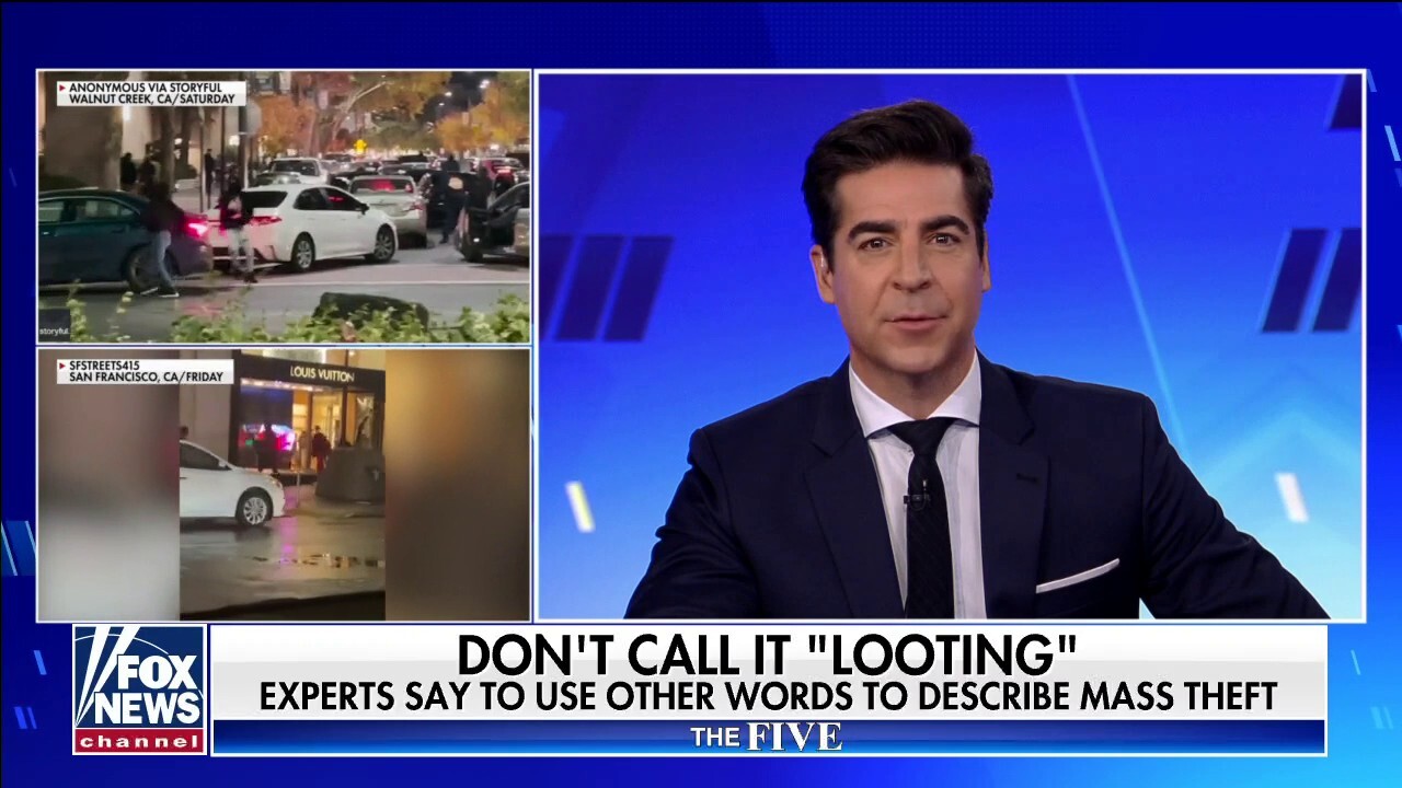 Watters: 'Don't you dare call this "looting"'