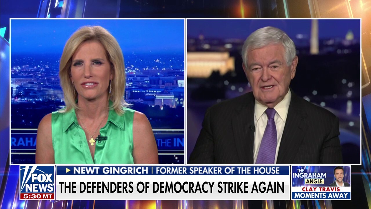 Newt Gingrich: Democrats are either 'rabid socialists' or 'totally negative'