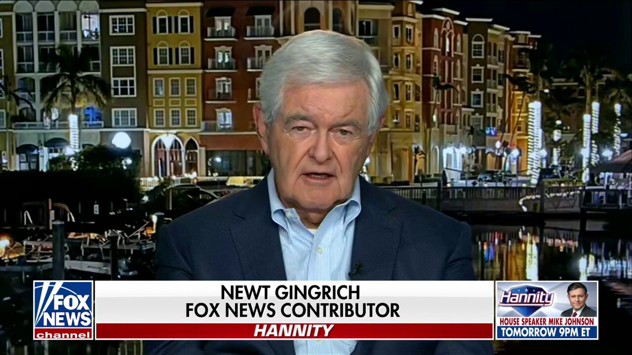  Newt Gingrich: We need a greater ability for citizens to protect themselves