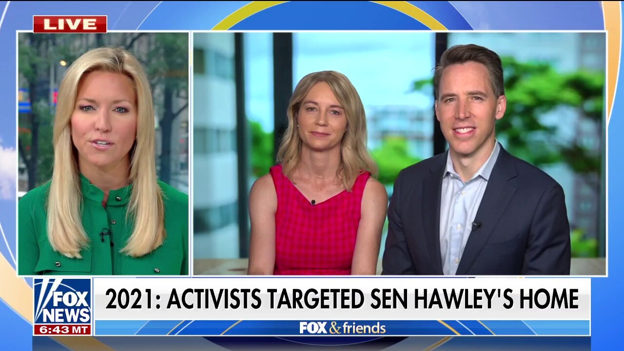 Hawley: The left has really turned anti-Democratic