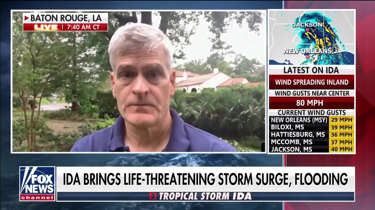 Louisiana senator describes 'terrible damage' from Ida