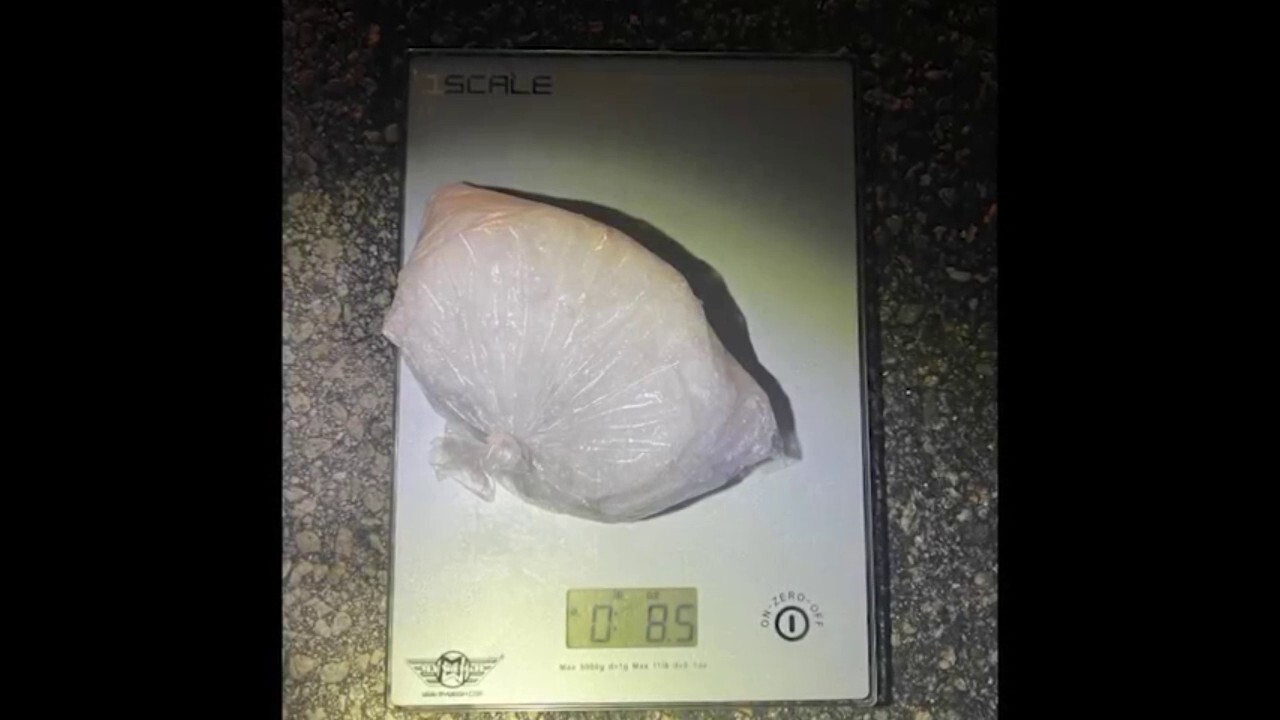Florida man drops half a pound of meth under patrol car during traffic stop