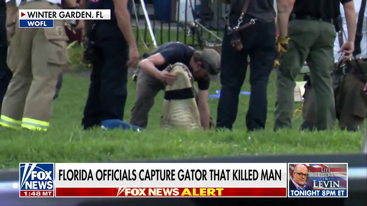 Florida officials capture and kill alligator after fatal attack