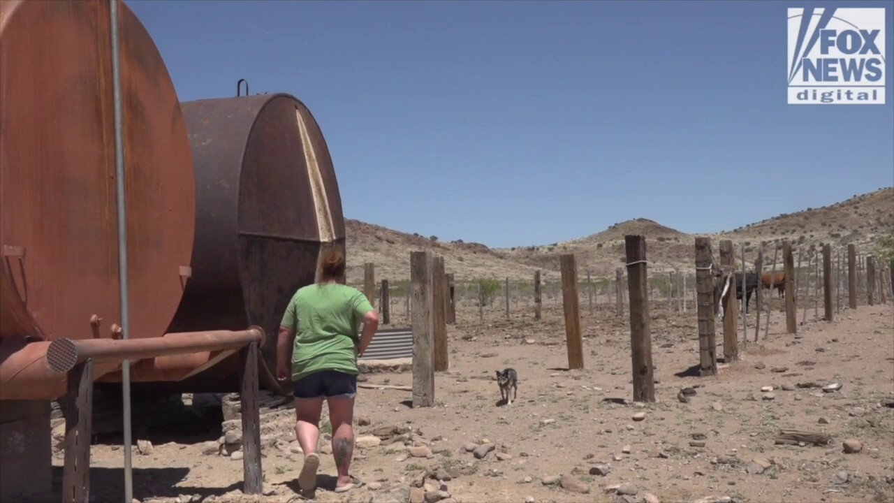 ‘Scared for my life’: Border rancher fears migrants crossing her ranch unchecked