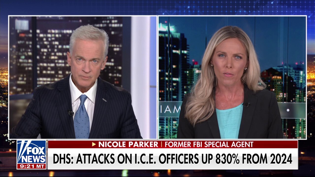 Ex-FBI special agent slams attacks on ICE agents: 'It's completely disgusting and reprehensible'